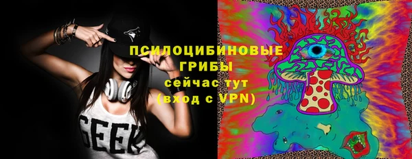 а пвп мука Абаза