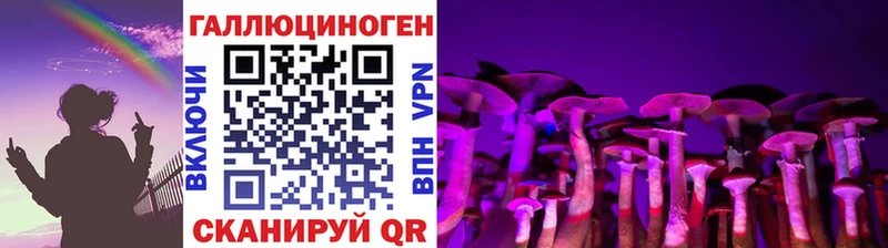 где найти   Струнино  Галлюциногенные грибы Psilocybe 